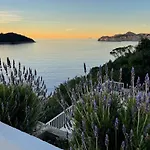 Alisa Ντουμπρόβνικ