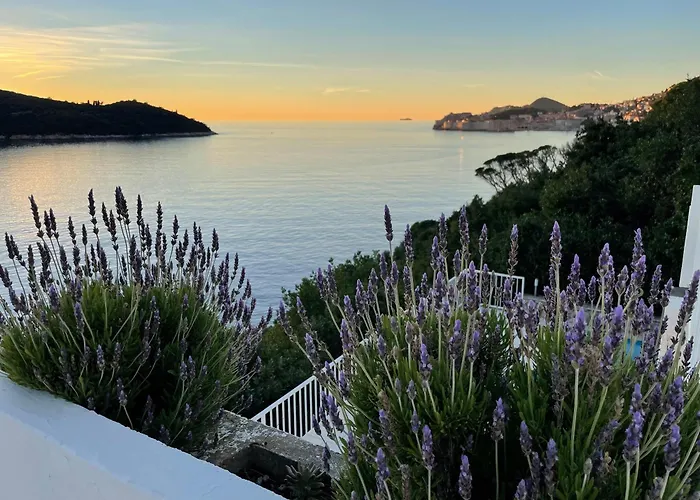 Alisa دوبروفينك