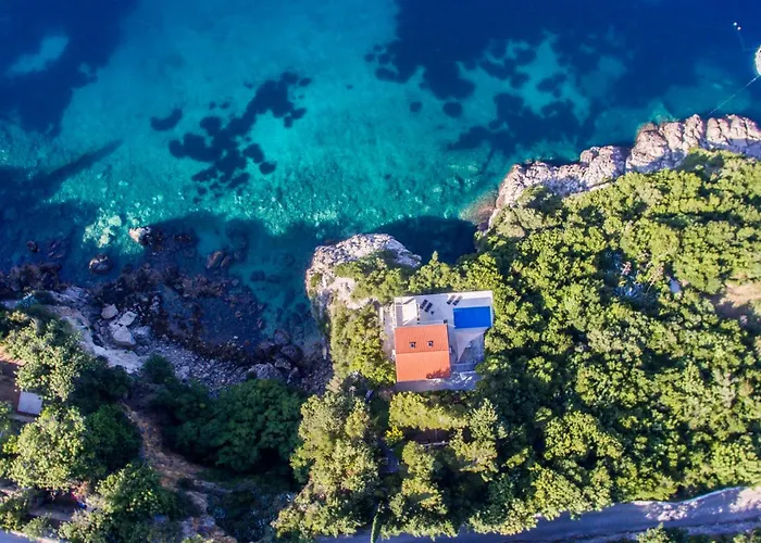 Alisa Villa *